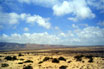 Desert Landscape In Lanzarote